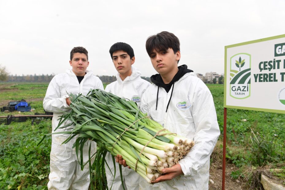 Osmangazi’de Pırasa Hasadıyla Doğallık Sofralara Taşınıyor