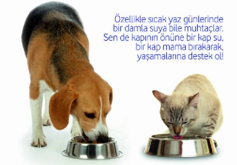 “Bir Kap Mama, Bir Kap Su Hayat Kurtarır”