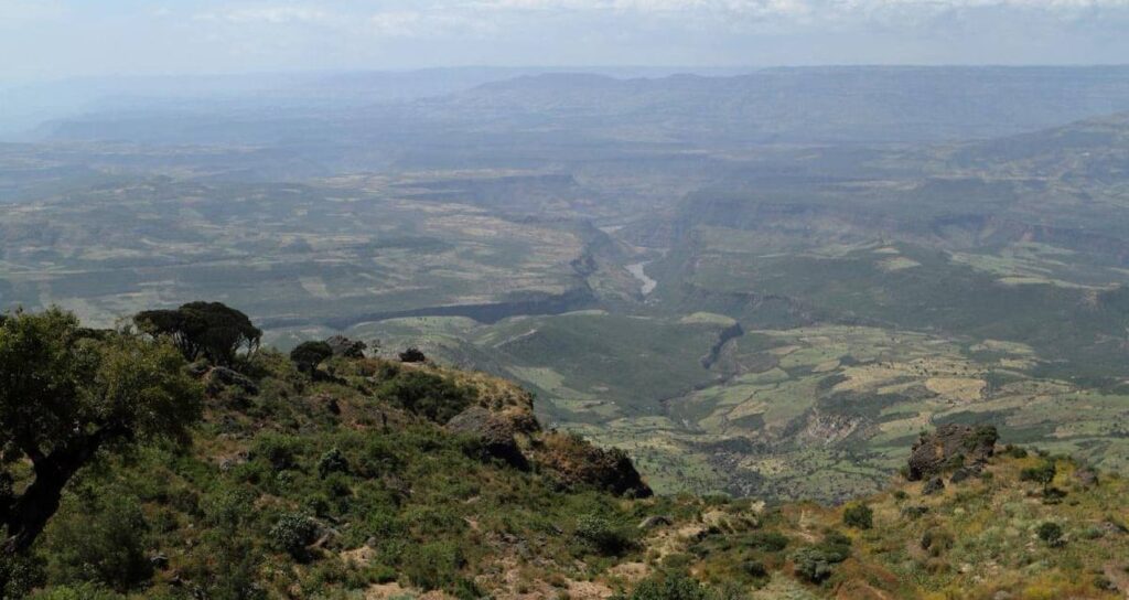 Dünyanın en küçük memeli yaratığı keşfedildi