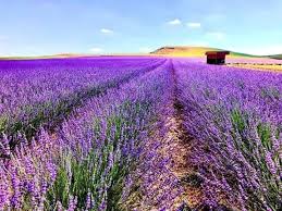 Kadınımıza Güç Katacağız!