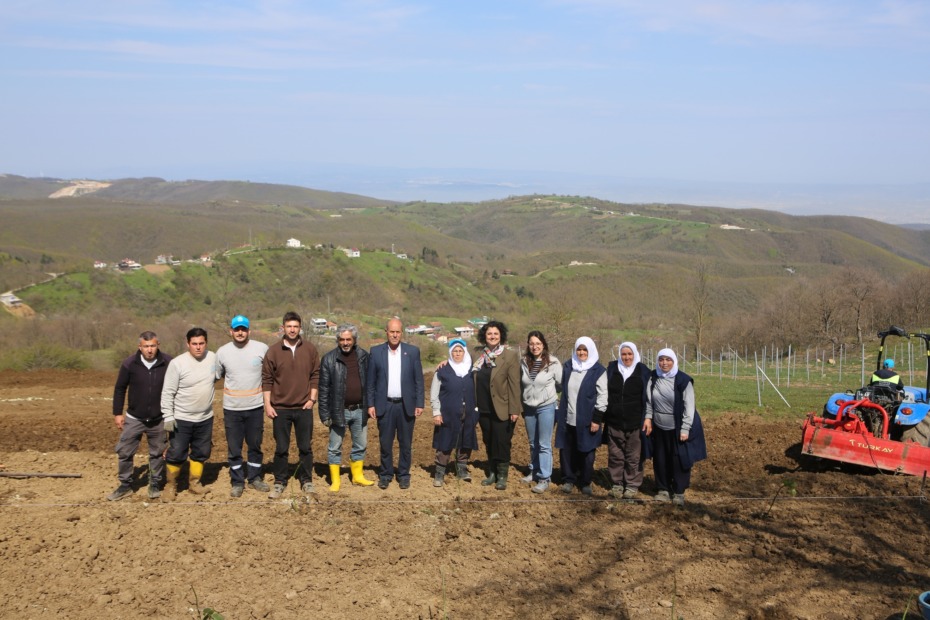 Nilüfer’de atıl araziler bereketleniyor 