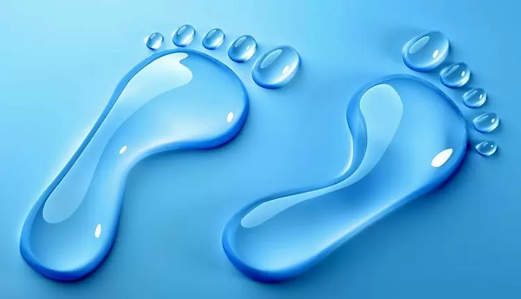 Zeytin Üreticisine Yönelik Yanıltıcı Su Ayak İzi Yorumları Kabul Edilemez!