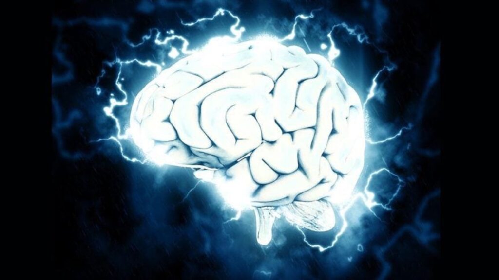 Uluslararası IQ Testi Bulguları
