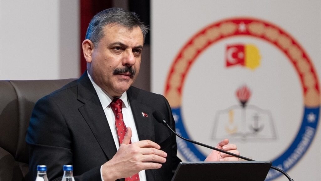Sahipsiz hayvanlarla mücadelede son durum