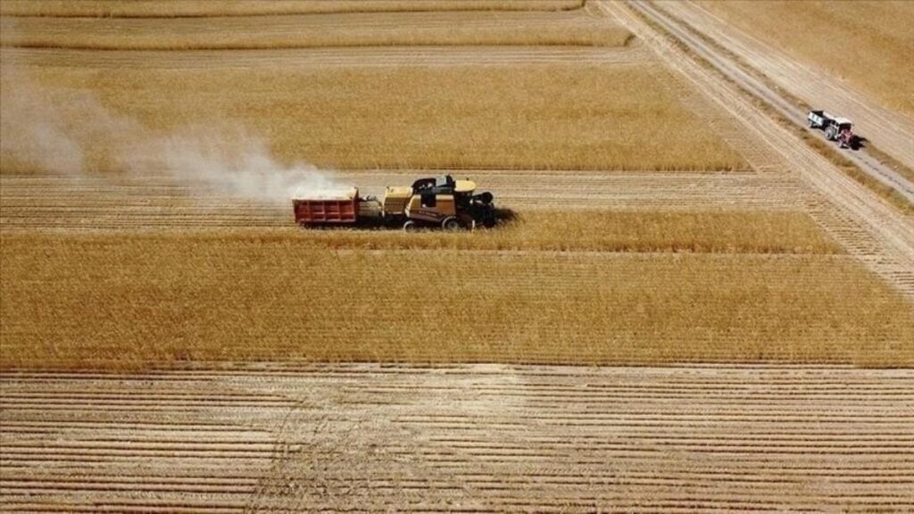 165.5 Milyon TL Tarımsal Destek Ödemesi Yapıldı