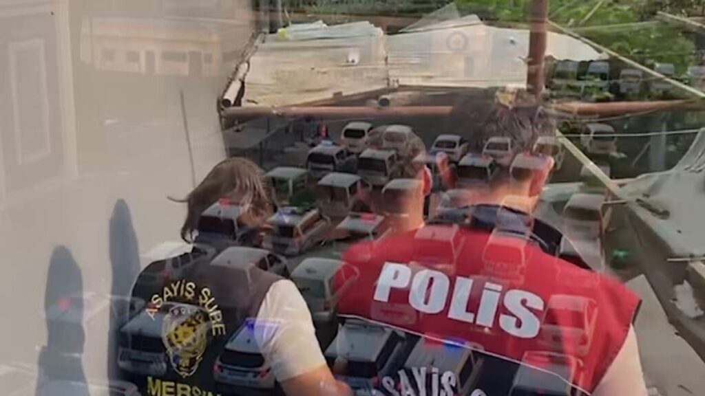 23 İlde Nitelikli Dolandırıcılık ve Aklama Operasyonu