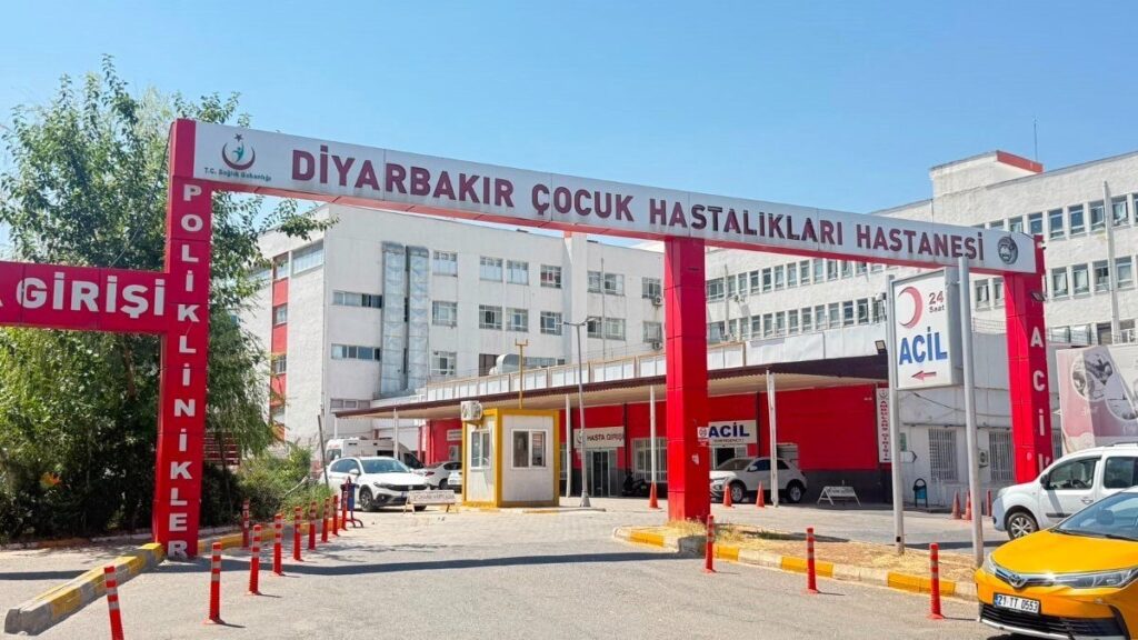 Diyarbakır’da Sokak Kedisinden Kuduz Vakası