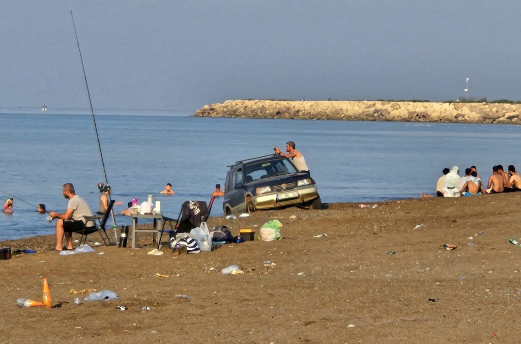 Kumköy Sahilinde Caretta Yuvaları ve İhlaller