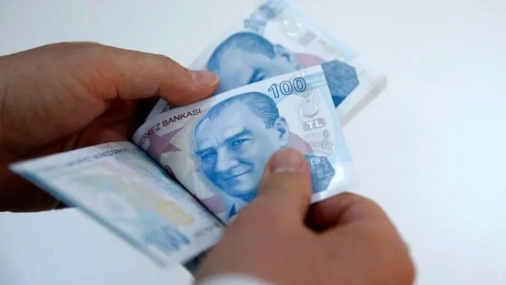Ödeme ve Elektronik Para Hesapları Tek Ekranda Sorgulanıyor