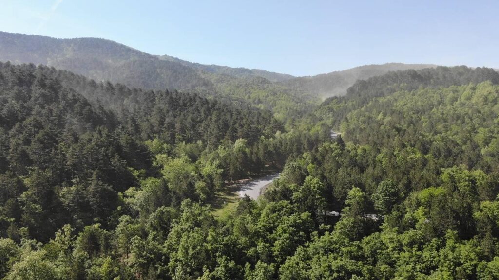 ‘Yeşil Bursa’’nın orman serveti açıklandı!