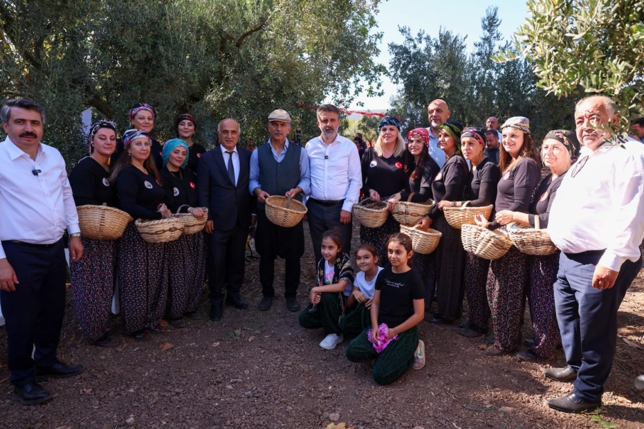 Bursa’nın zeytin mirası Gemlik ve Orhangazi’de yaşatılıyor