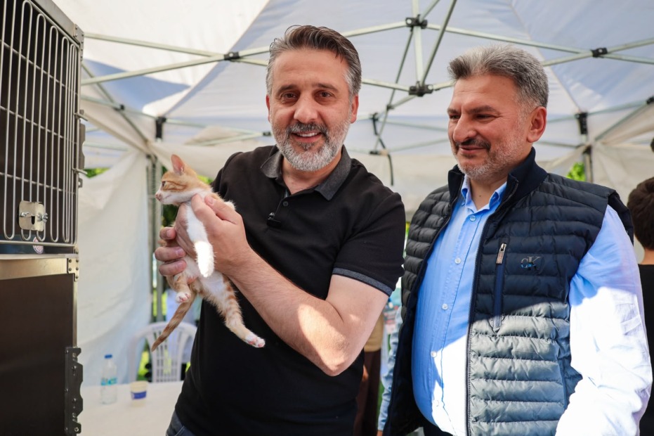 Büyükşehir’den can dostları için yuva seferberliği