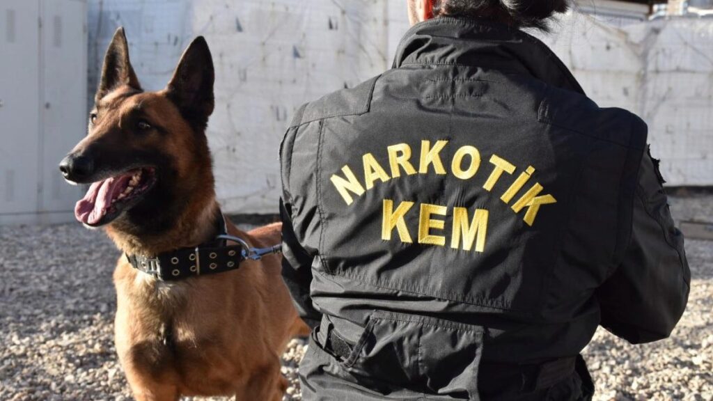 Uyuşturucu ile mücadelede 30 bin personele eğitim verilecek